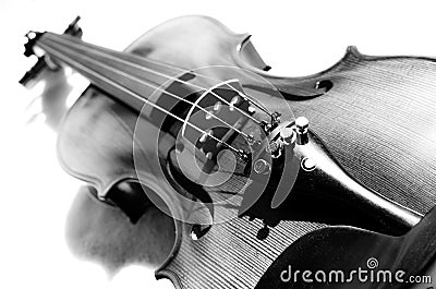 Violin in black and white. Stock Photo