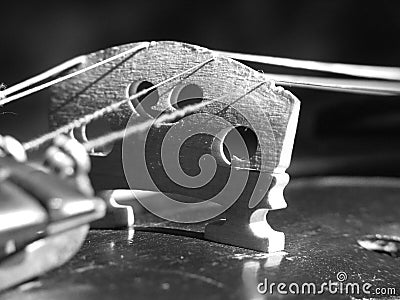 Violin - close up Stock Photo