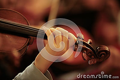 Violin Stock Photo