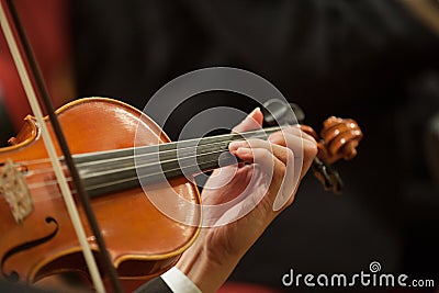 Violin Stock Photo