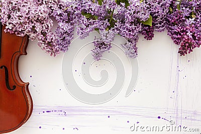 Violin and flowers of lilac on a white wooden background. Stringed musical instrument Stock Photo