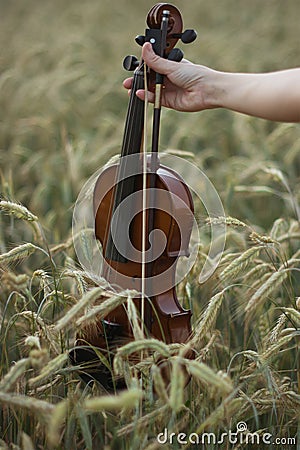 Violin in the hands of a master Stock Photo