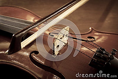 Violin in sepia color. Stock Photo