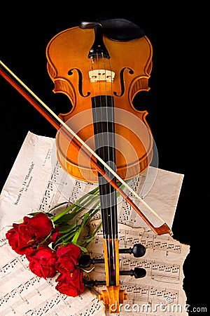 Violin sheet music and rose closeup still life Stock Photo