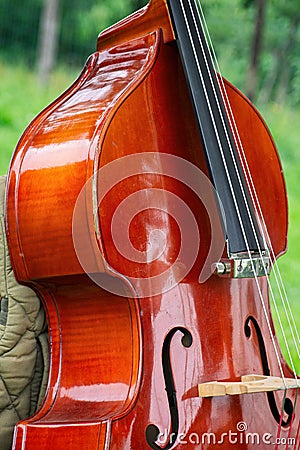 Violonchello chello instrument music string instrument Stock Photo