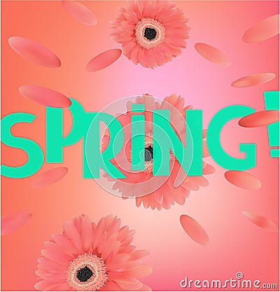 Spring banner with coral gerberas and levitating petals. Vector Illustration