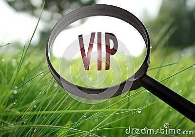 Vip very important person Stock Photo
