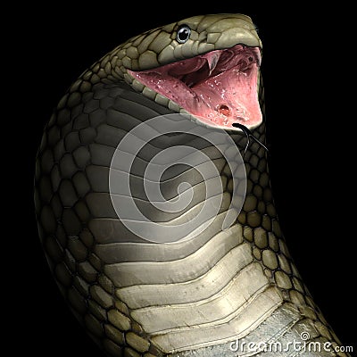 Viper cobra snake Stock Photo