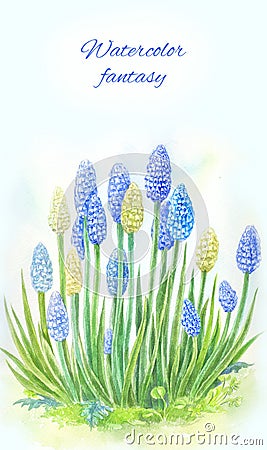Viper onion, mouse hyacinth or muscari. Watercolor illustration. Cartoon Illustration