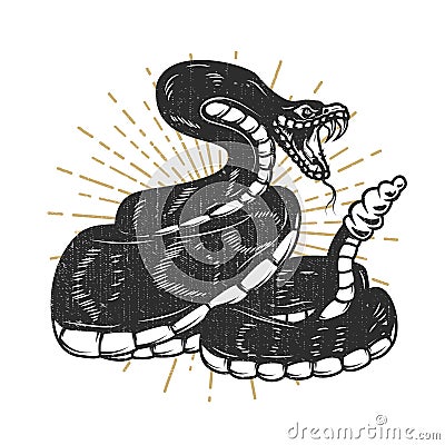 Viper snake illustration. Design element for emblem, sign, poster, t shirt. Vector Illustration