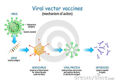 Viral vector vaccines Vector Illustration