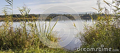 Virgin landscape with reed grass and moor lake, mountain view Stock Photo