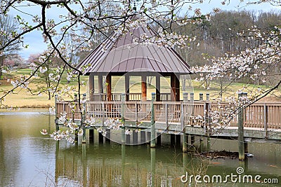 Virginia Meadowlark Gardens Spring Gazebo Stock Photo