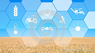 Virtual screen with digital icons, blue sky and field background Stock Photo