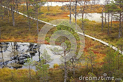 Viru Bog in Lahemaa National Park in Estonia Stock Photo