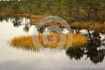 Viru Bog in Lahemaa National Park in Estonia Stock Photo