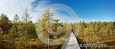 Viru bogs at Lahemaa national park Stock Photo