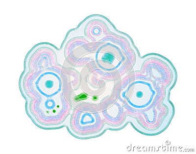 Virus RNA Invading A Cell And Cloak Themselves To Hide Inside The Intracellular Membrane And Create Copies Stock Photo