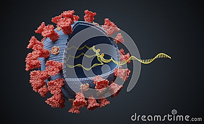 Virus with RNA molecule inside. Viral genetics concept. 3D rendered illustration. Cartoon Illustration