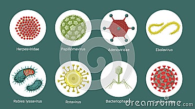 Virus structure under microscope set. Red molecules herpes virus green polygons of papillomavirus yellow wriggling ebola Vector Illustration