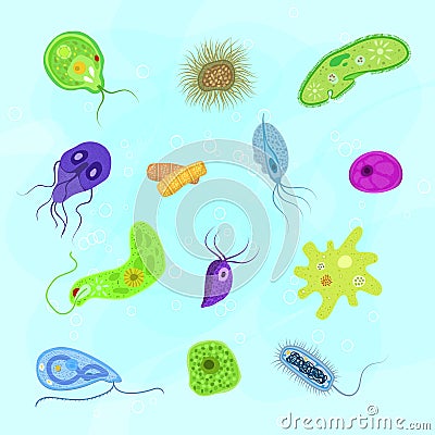 Virus vector bacterial infection virus-like illness illustration virulent bacterium set of microbiology organisms Vector Illustration