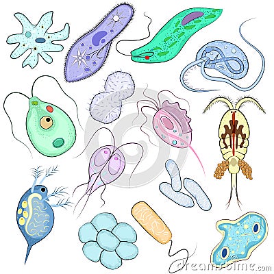 Virus vector bacterial infection virus-like illness illustration virulent bacterium set of microbiology organisms Vector Illustration