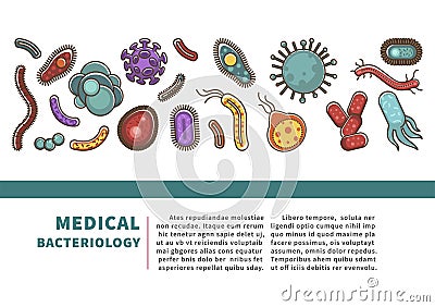 Viruses and bacteria information poster for medical healthcare infographics or bacteriology science. Vector Illustration