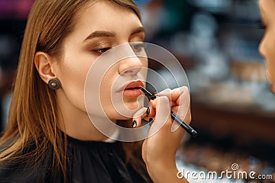 Visagiste and female client in makeup shop Stock Photo