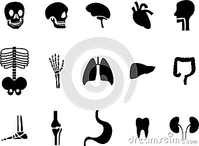 Viscera black icon Vector Illustration