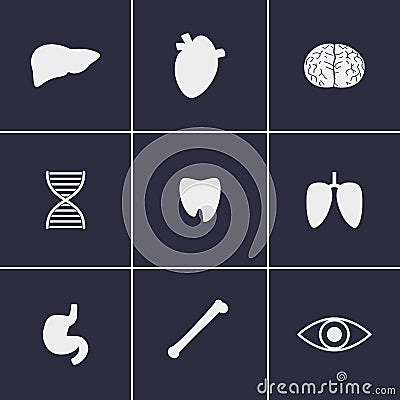 Viscera Icons Stock Photo