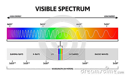 Visible color spectrum. Sunlight wavelength and increasing frequency vector infographic illustration. Visible spectrum Vector Illustration