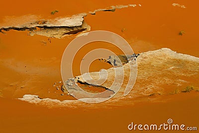 Desert landscape. Beautiful rock formation on sand dune, the outskirts of Sahara Desert. Rusty, red sand colours. Morocco, Africa Stock Photo