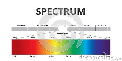 Visible Spectrum color, Electromagnetic Spectrum that Visible to the human eye, Sunlight color, Vector Illustration