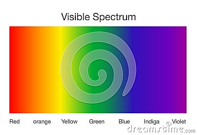 Visible spectrum of light. Vector Illustration