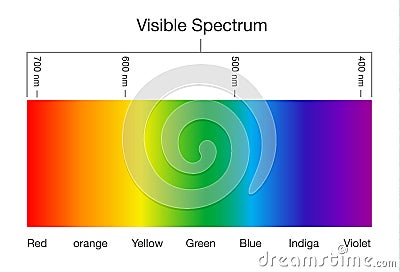 Visible spectrum of light. Vector Illustration