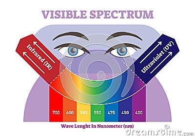 Visible spectrum vector illustration diagram, color scheme from infrared to ultraviolet color scale. Vector Illustration