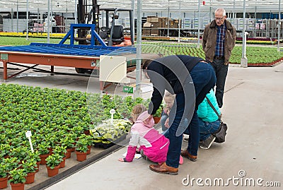 Visiting a commercial greenhouse Editorial Stock Photo