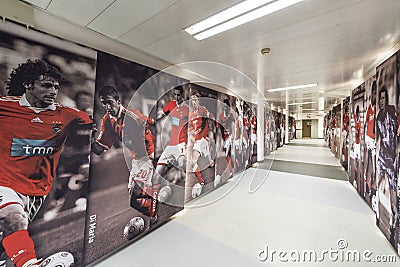 Behind the curtains at FC Benfica stadium. Lisboa, Portugal Editorial Stock Photo
