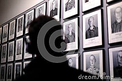 A visitor is looking at the photographs of camp inmates in Auschwitz-Birkenau Museum and Memorial Editorial Stock Photo