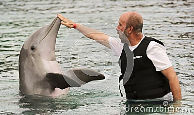 A Visitor to Dolphinaris, Arizona, Interacts with a Dolphin Editorial Stock Photo