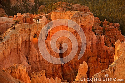 Visitors on the Bryce Canyon hoodoos Stock Photo