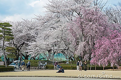 Visitors in Kajo castle park (Yamagata castle site park). Editorial Stock Photo