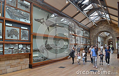 Visitors Natural History Museum London Editorial Stock Photo