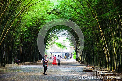 Visitors to the beautiful Bamboo arch at Wat Chulapornwanaram Editorial Stock Photo