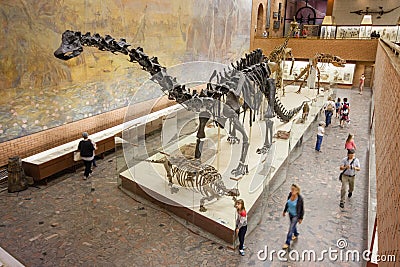 Visitors to the Palentology Museum look at dinosaur skeletons Editorial Stock Photo