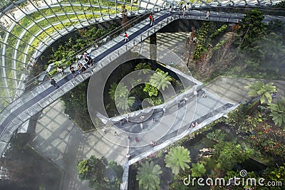 Visitors walk across the sky bridge in the rainforest atrium at the Gardens by the Bay in Singapore. Editorial Stock Photo