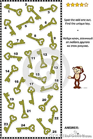 Visual logic puzzle - find the unique key Vector Illustration