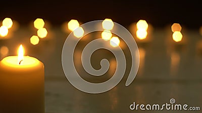 Vit undersöker ljust romantiskt tema Vit undersöker ljust romantiskt tema