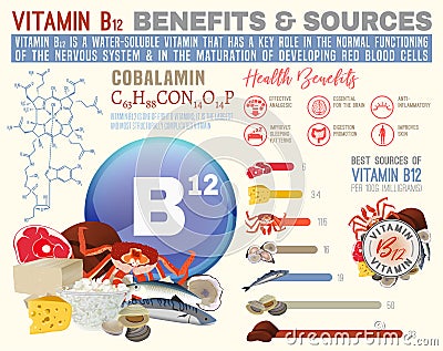 Vitamin B12 Benefits Vector Illustration