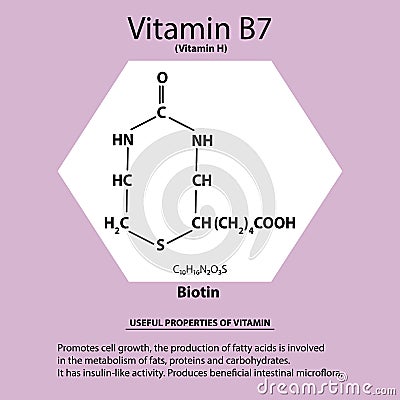 Vitamin B7. Biotin Molecular chemical formula. Useful properties of vitamin. Infographics. Vector illustration on Vector Illustration